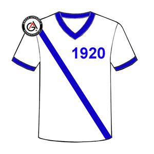 Zeta Phi Beta Soror Ropa de mujer de alta calidad Camisas de mujer al por mayor Manga corta Moda Unisex Cuello en V Camisetas de mujer - Product Image 4