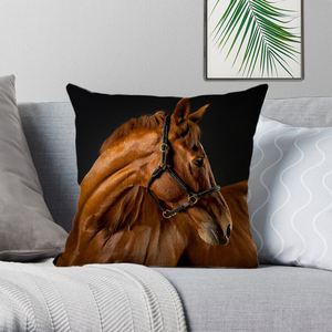 Copricuscino per cavalli da fattoria con stampa 45x45cm federa per cuscino decorativo per divano - Product Image 6