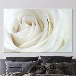 Tableau sur toile imprimé de roses blanches élégantes pour la décoration moderne de la maison, 1P : encadré - Product Image 1