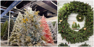 عينات مجانية الأكثر مبيعًا من المخمل الأخضر ، ينبع من البيونسيتيا ، مختارات عيد الميلاد والرش ، مختارات شجرة عيد الميلاد لعيد الميلاد - Product Image 6