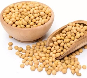 2026 Organic Non-GMO Fresh Grade 1 Yellow <b>Soybeans</b> Seeds Wholesale Natural Protein Dried Bulk-Packed 25kg Germany 24 Months - Product Image 1