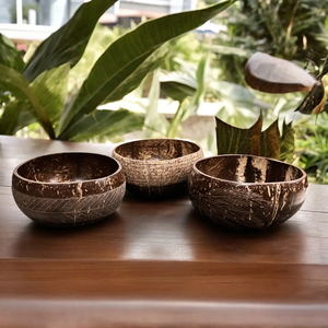 กะลามะพร้าวชามอาหารเป็นมิตรต่อสิ่งแวดล้อม - Product Image 4
