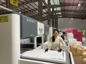 Suministro a Granel de Insertos de Espuma EPE Industrial, Fábrica en Vietnam - Product Image 5