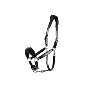 Vente d'usine sur mesure Produits équestres en gros Halters anatomique Halter Exportateur plié - Product Image 1