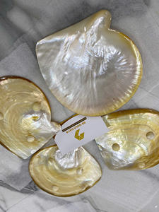 Plato de Madre de perla hecho a mano Natural pulido, Plato decorativo, plato de Madre de perla para vajilla elegante - Product Image 6