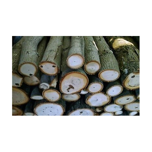 44.7000 Cbm Divers grumes de bois dur de hêtre chêne frêne pin teck eucalyptus bouleau à motif rond - Product Image 5