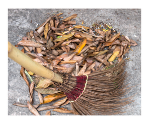 Venta al por mayor de escobas y recogedores, material de palo de escoba de coco limpio para hacer escoba de jardín - Product Image 4