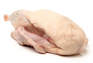 Carcasse d'oie halal de qualité supérieure, traitée selon les normes pour les services de restauration et les acheteurs en gros - Product Image 4