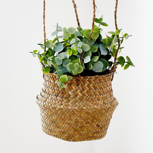 กระถางหญ้าทะเลแบบแขวนตกแต่งผนังกระถางหญ้าทะเลสานกระถางต้นไม้ฟางยั่งยืน - Product Image 1
