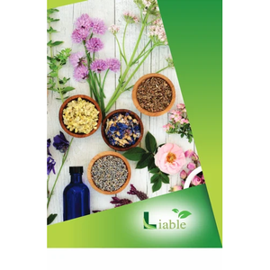 Aceite Esencial Puro de Pino, Hidratante, Reafirmante y Nutritivo para el Cuidado Diario de la Piel, con Aroma Fresco a Madera de Cedro, Hierbas, Flores y Hojas - Product Image 1