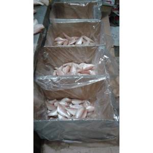 BQF สไตล์ WR ปลาทะเลสีแดงมีในสต็อก - Product Image 2