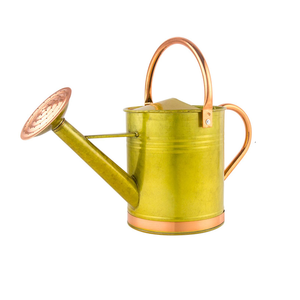 Regadera de metal de buen aspecto, el mejor diseño, regadera de jardín, regadera de metal duradera para colgar, regadera de crecimiento, venta superior - Product Image 4