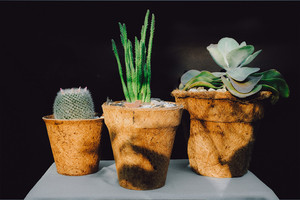 Eco2go Vietnam Origin Coir Seedling Pot | Manufacturer Direct Natural Fiber Nursery <b>Cup</b> - Product Image 5