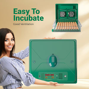 अभिनव कबूतर अंडे इनक्यूबेटर आर्द्रता और तापमान नियंत्रण, सर्वोत्तम पेशकश - Product Image 6