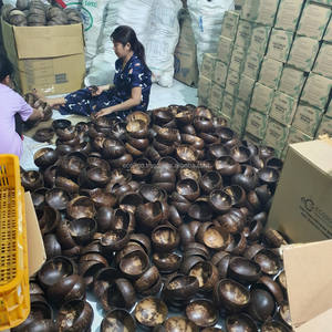 TOP SELLING PRODUCT 2025 HIGH QUALITY ORGANIC COCONUT <b>SHELL</b> BOWLS WITH BOX CUSTOM LOGO FROM ECO2GO VIETNAM - Product Image 5