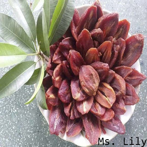 <b>Bulk</b> Dried Sapodilla Slices| Naturally <b>Sweet</b> Fruit for Snacks, Tea, and Food Processing| Ms. Lily - Product Image 6