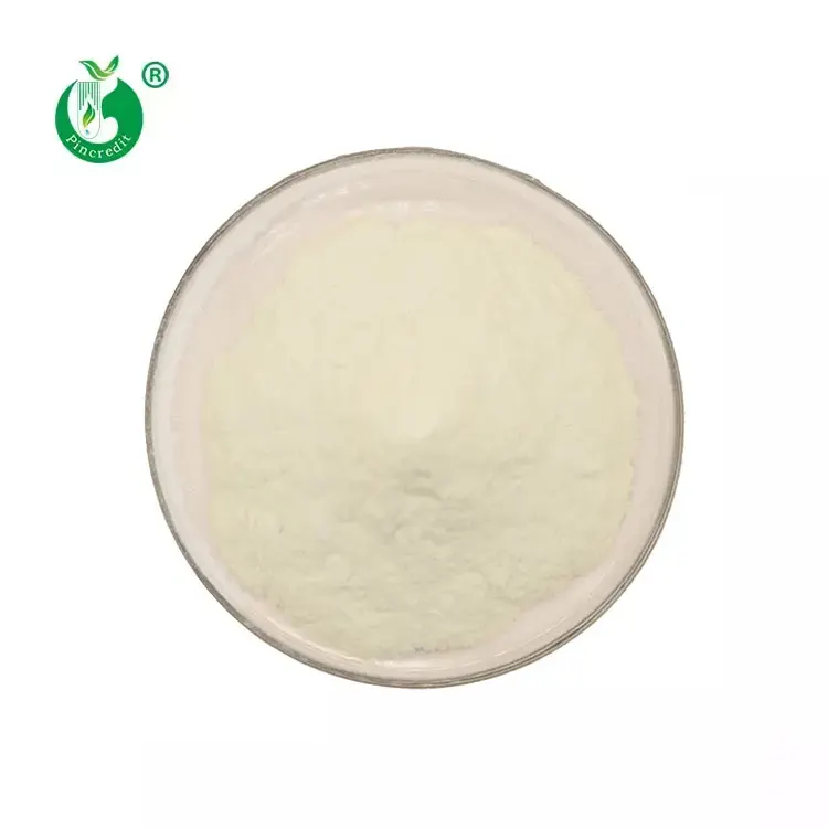 ISO Certified Natural Extract Powder Bulk Organic Food Grade Chitosan