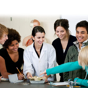 7 pièces Kit de dissection en acier inoxydable ensemble anatomie échantillon biologique biologie enseignement étudiant en médecine ensemble de laboratoire de dissection - Product Image 4