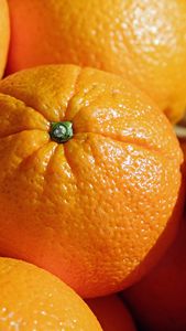 Approvisionnement saisonnier au comptoir du Chili de mandarines sucrées et juteuses et de mandarines orange fraîche pour les importateurs - Product Image 3