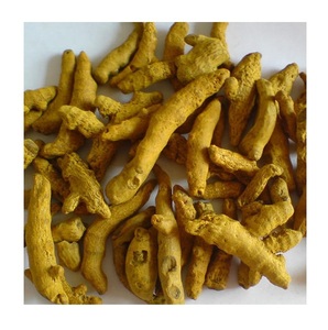 Bâtonnets de curcuma cru séché et curcumine en forme de doigt - Product Image 4
