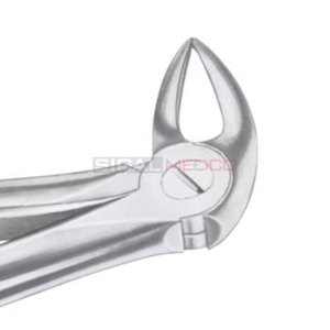 Fig. 33B Raíces inferiores Fórceps de extracción de dientes de diferentes tamaños Instrumentos médicos dentales Precio al por mayor Proveedor a granel - Product Image 1