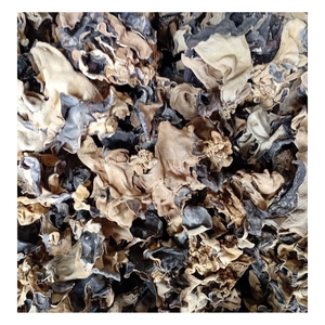 Hongo de oído de madera seco de Vietnam, producto de calidad de exportación con grosor constante y apariencia limpia para compradores internacionales - Product Image 1