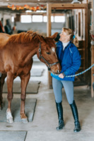 Corde en PP tressée haute résistance et durable de 4 mm à 20 mm, 12 ou 18 brins, corde de derby pour l'amarrage, les balançoires et les rênes de chevaux