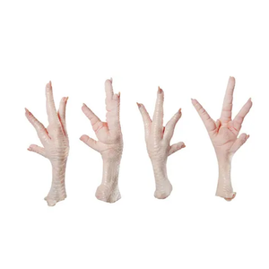 Pieds et pattes de poulet frais congelés Halal - Product Image 3