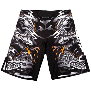 Unisex Custom Logo MMA <b>Polyester</b> <b>Shorts</b> Hot Sale Summer Training Martial Arts Wear Breathable & Quick Dry Loose Fit - Product Image 1