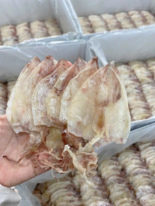 ซัพพลายเออร์ที่เชื่อถือได้ของปลาหมึกแห้งเวียดนามข้อเสนอที่ดีที่สุดสำหรับผู้ซื้อจำนวนมาก - Product Image 4