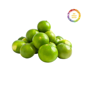 Lima sin semillas asequible, fruta fresca de calidad premium de Vietnam para exportación - Product Image 5