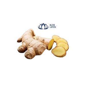 ส่งออกจากเวียดนามด้วยราคาที่ดีที่สุดสำหรับขิงสด - Product Image 3