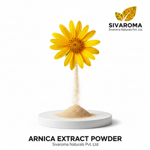 Poudre d'extrait d'arnica sauvage (qualité cosmétique) pour les marchés d'exportation des marques cosmétiques et de soins personnels - Product Image 2