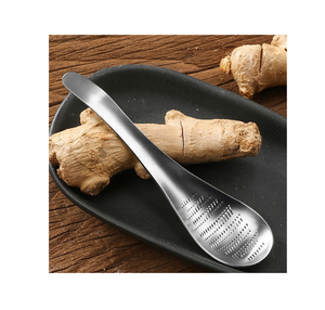 Utensilios de cocina Acero inoxidable Ajo Jengibre Nuevo producto Herramienta de cocina Cuchara de molinillo Cuchara de jengibre de acero inoxidable única - Product Image 1