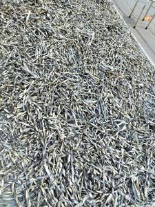 อาหารว่างสำหรับสัตว์เลี้ยงจากหนังปลาแห้งเกรดส่งออกจากโรงงานแปรรูปปลาบาซา - Product Image 5