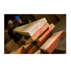 Madera de Abeto de Noruega a Granel Barata Disponible, Troncos y Maderas de Primera Calidad para Carpintería, Construcción, Muebles y Artesanías - Product Image 4