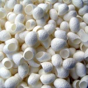 รังไหมสีขาวธรรมชาติสำหรับทอผ้าถักและผลิตภัณฑ์งานฝีมือที่ผลิตในเวียดนาม - Product Image 3