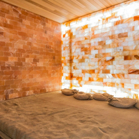 Meilleures ventes 2023 OEM ODM Briques solides de sel rose de l'Himalaya sculptées à la main, frittées, résistantes aux acides, design moderne, carreaux de décoration intérieure