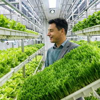 Système d'agriculture hydroponique en conteneur pour légumes-feuilles, hydroponie verticale, équipement de culture de laitue, ferme en conteneur, rendement élevé
