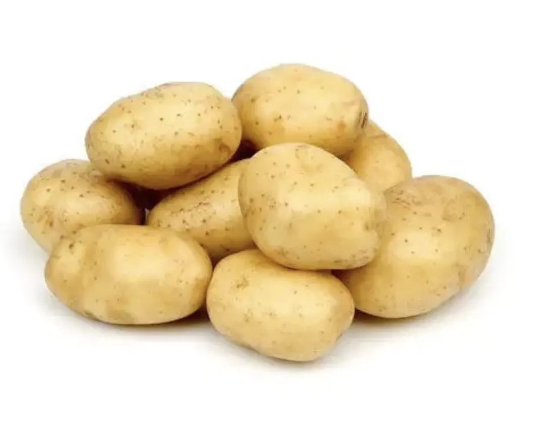 Bio-Frisch kartoffeln 100% hochwertige export orientierte Niedrig preis für Großhandels preis Frische Kartoffel Holland aus Bangladesch