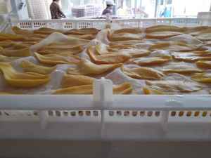 Mangue séchée prête à l'exportation: Collation jaune en tranches, qualité supérieure en vrac, fabriquée au Vietnam pour les marchés mondiaux des collations saines - Product Image 6