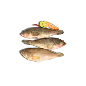 Poisson Grouper Entier Congelé IQF Sous Vide, Produits de la Mer en Gros pour l'Exportation - Product Image 2