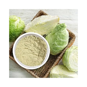 Suministro Directo de Fábrica, Polvo de Repollo Deshidratado, Ingrediente de Grado Alimenticio para Recetas - Product Image 2