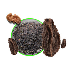 Peganum harmala | Source écologique | Herbe nettoyante traditionnelle - Product Image 2