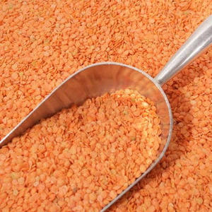 Lentilles rouges et chana dal séchés, pour usage alimentaire, emballés en sacs en vrac, provenance Chine, durée de conservation 12 mois, à vendre - Product Image 2