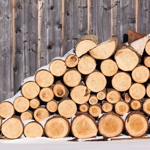 Productos duraderos de madera de pino, arena para gatos sin polvo, tablero de madera maciza, viga de pino y madera para construcción - Product Image 2