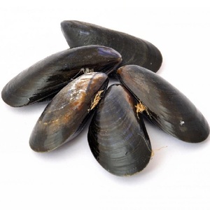 100% qualité supérieure Nutritif séché, frais et congelé Crustacés disponibles pour l'approvisionnement en gros à des prix bas. - Product Image 2