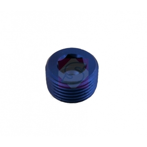 Vite di chiusura 1/4NPT in alluminio / esagono interno - Product Image 1