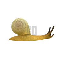 Ciclo de crecimiento de caracoles D, lleva la vida de los caracoles a tu aula