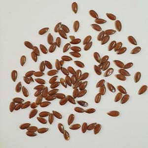 Chất lượng cao khô toàn bộ hạt lanh để sử dụng thực phẩm - Product Image 2